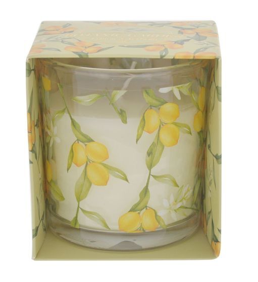 Lemon & Verbena - Botanic Garden Candle