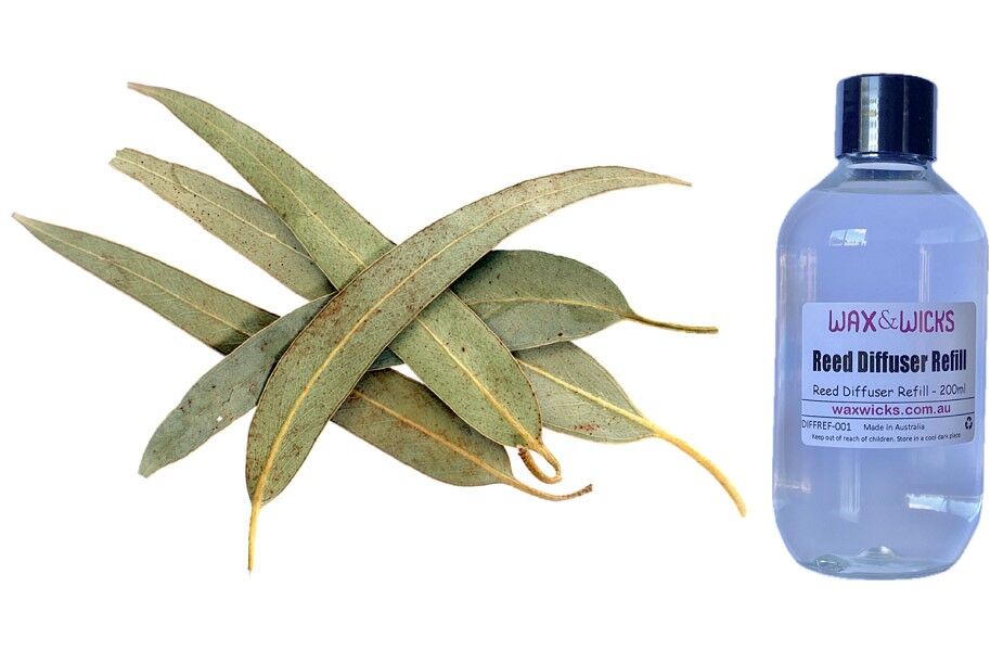 Eucalyptus Leaf - Reed Diffuser Refill