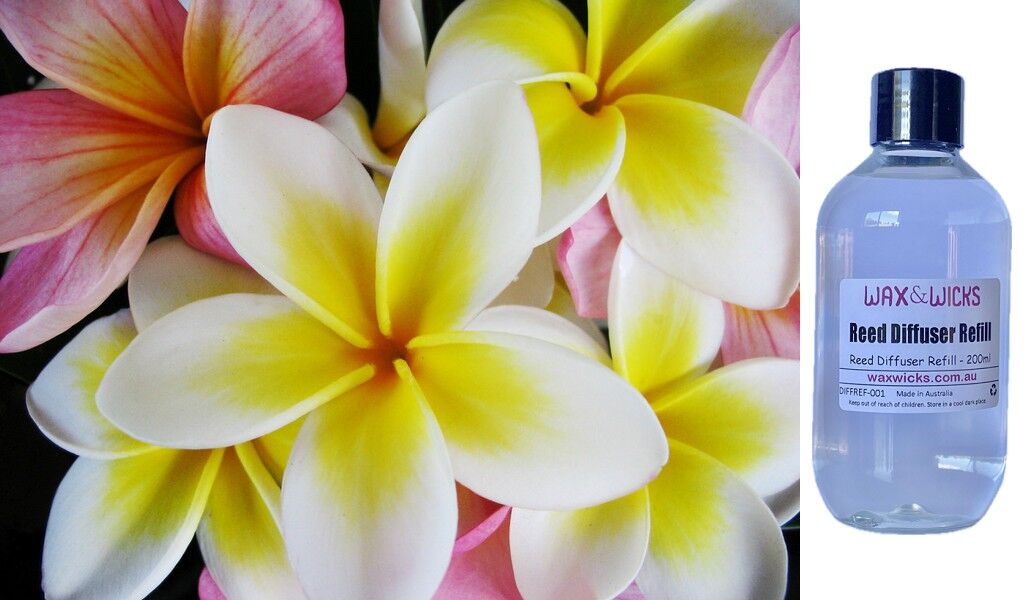 Frangipani - Reed Diffuser Refill