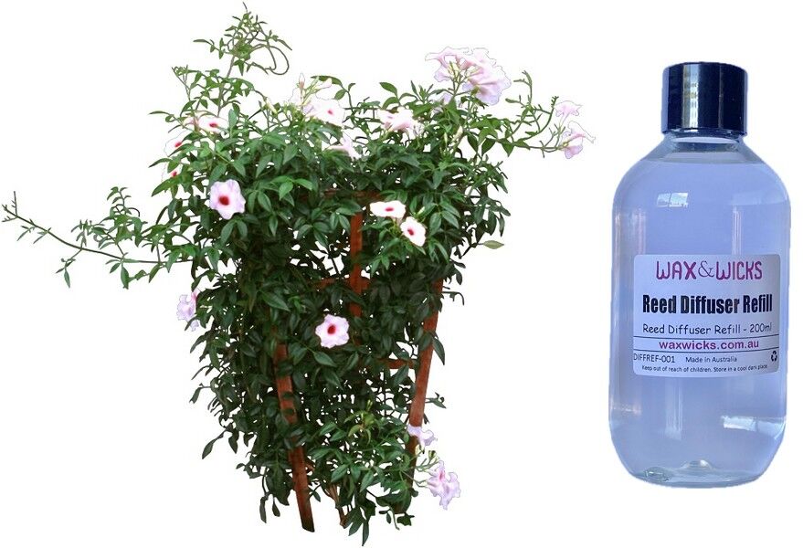 Jasmine - Reed Diffuser Refill