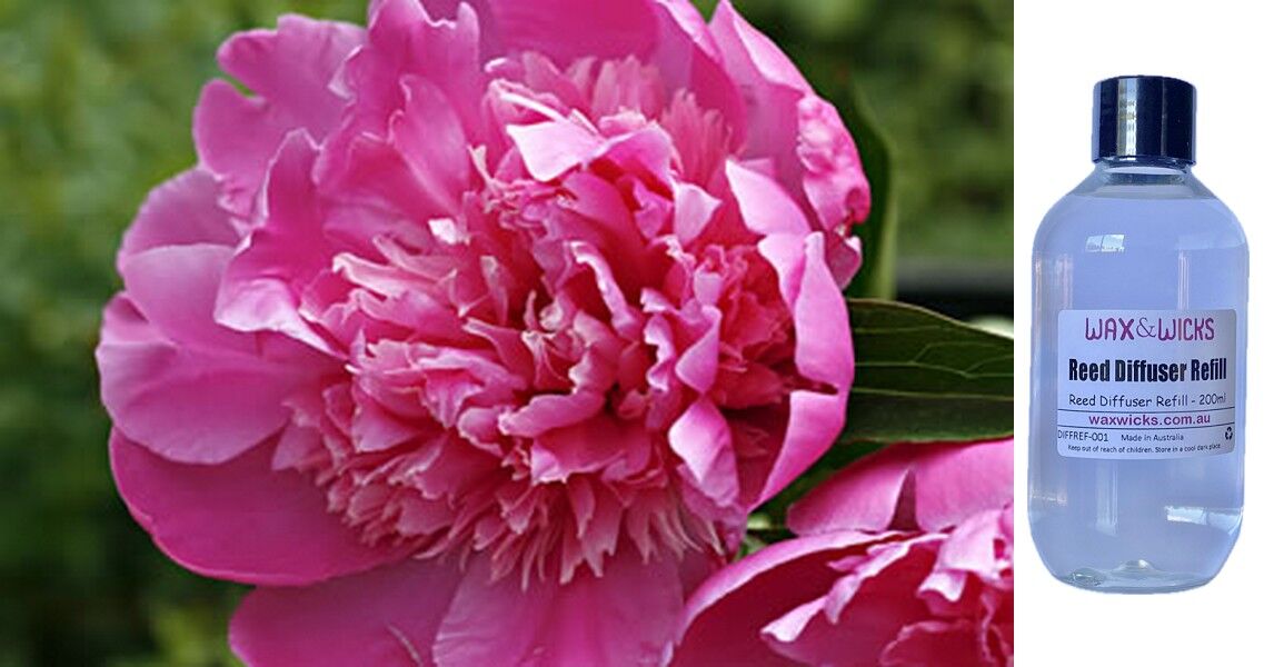 Peony Rose - Reed Diffuser Refill