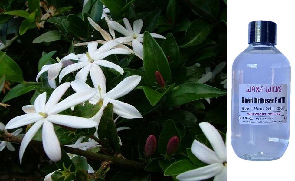 Wild Jasmine - Reed Diffuser Refill