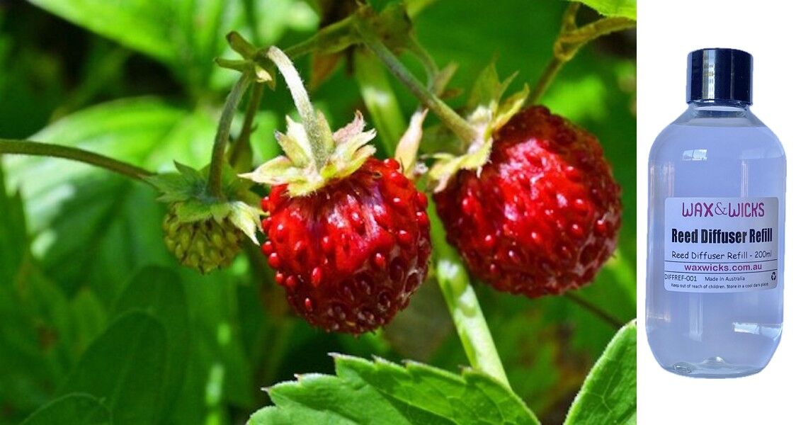 Wild Strawberry - Reed Diffuser Refill