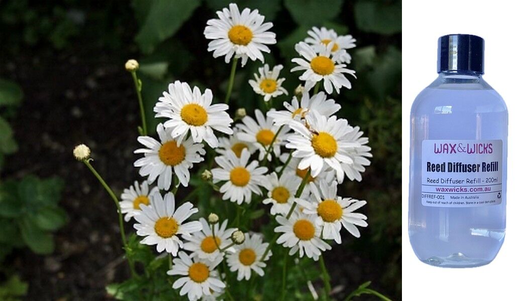 Daisy - Reed Diffuser Refill