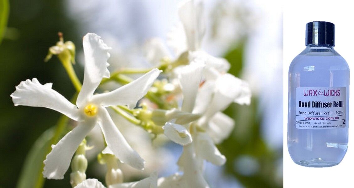 Jasmine & Magnolia - Reed Diffuser Refill