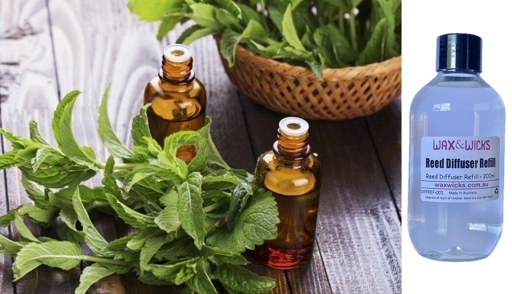Peppermint & Eucalyptus - Reed Diffuser Refill