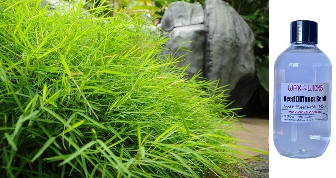 Australian Bamboo Grass - Reed Diffuser Refill