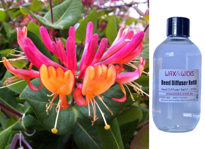 Golden Japanese Honeysuckle - Reed Diffuser Refill