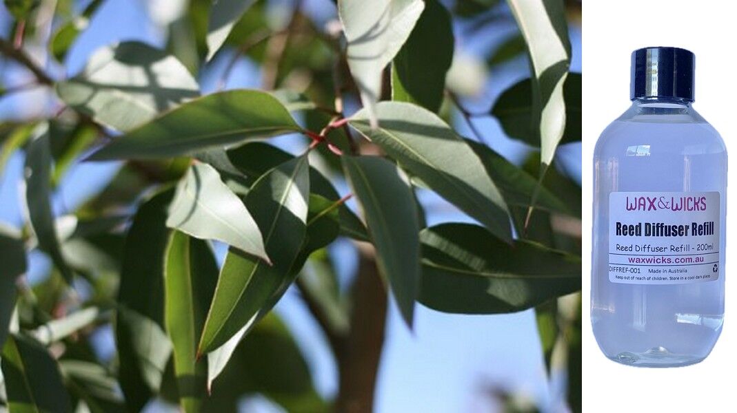 Eucalyptus Citriodora - Reed Diffuser Refill
