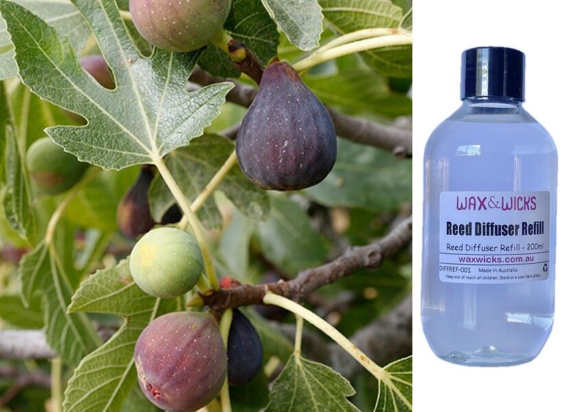 Fig Tree - Reed Diffuser Refill