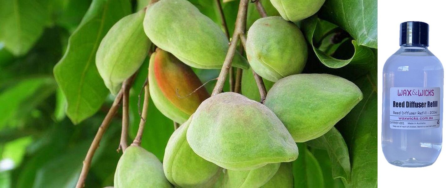 Kakadu Plum & Bush Cucumber - Reed Diffuser Refill