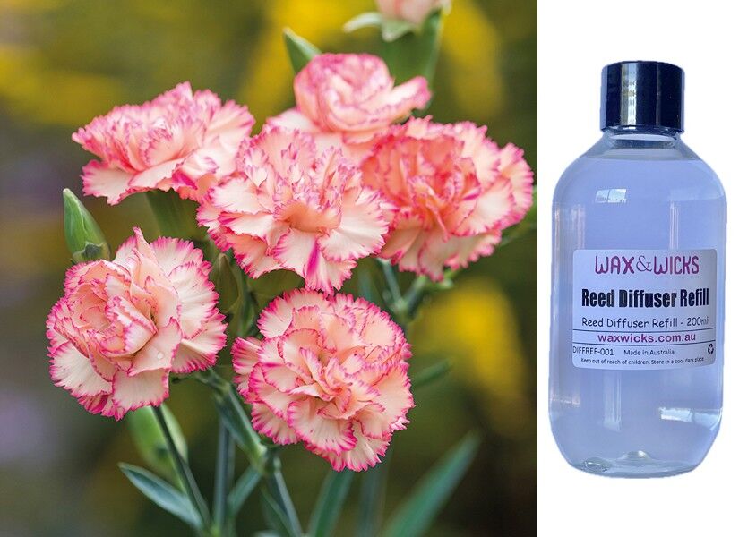 Carnation - Reed Diffuser Refill