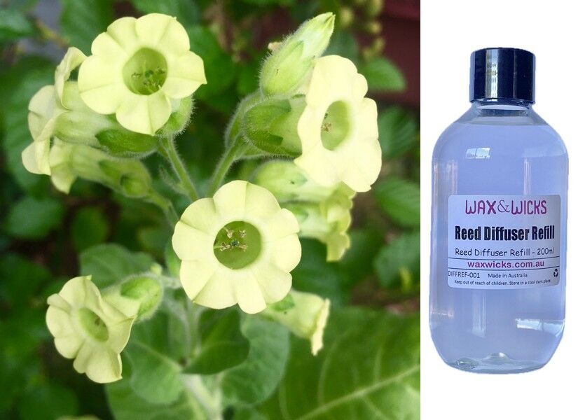 Tobacco Flower & Oak - Reed Diffuser Refill