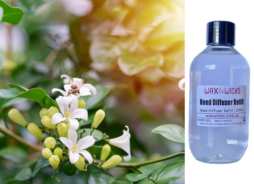 Sweet Jasmine & Bergamot - Reed Diffuser Refill