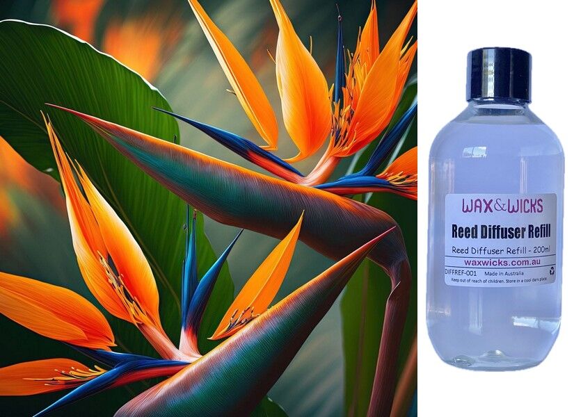 Angel of Paradise - Reed Diffuser Refill