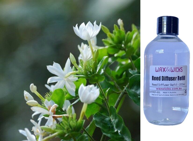 White Jasmine & Ivy - Reed Diffuser Refill