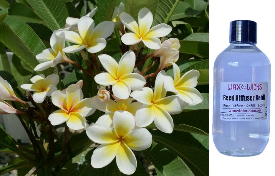 White Frangipani - Reed Diffuser Refill