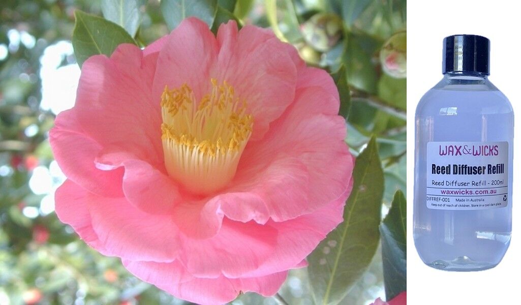 Camellia & Pink Lotus - Reed Diffuser Refill