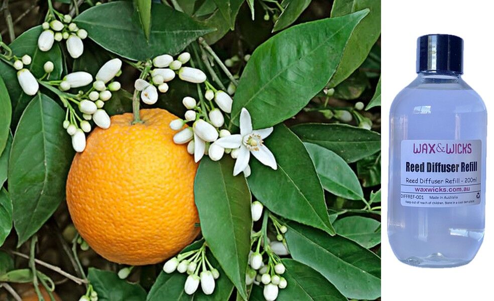 Sweet Neroli & Basil - Reed Diffuser Refill