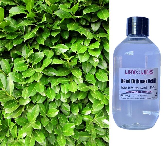Fresh Garden Leaves - Reed Diffuser Refill