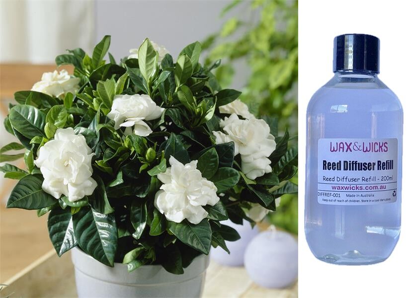 Gardenia & Wild Truffle - Reed Diffuser Refill