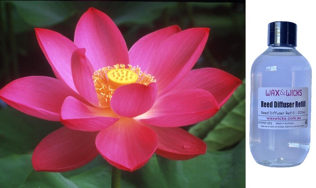 Lotus Blossom - Reed Diffuser Refill