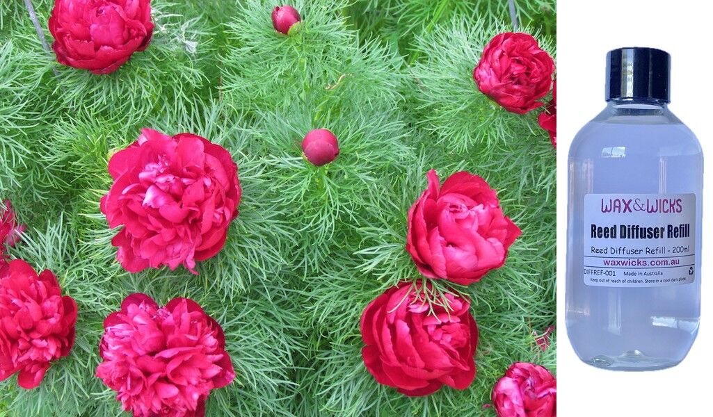 Peony Fern - Reed Diffuser Refill