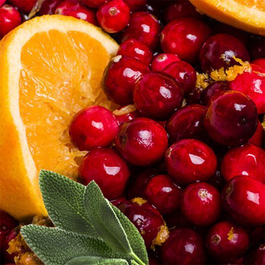 Cranberry Sage - Soy Wax Melts