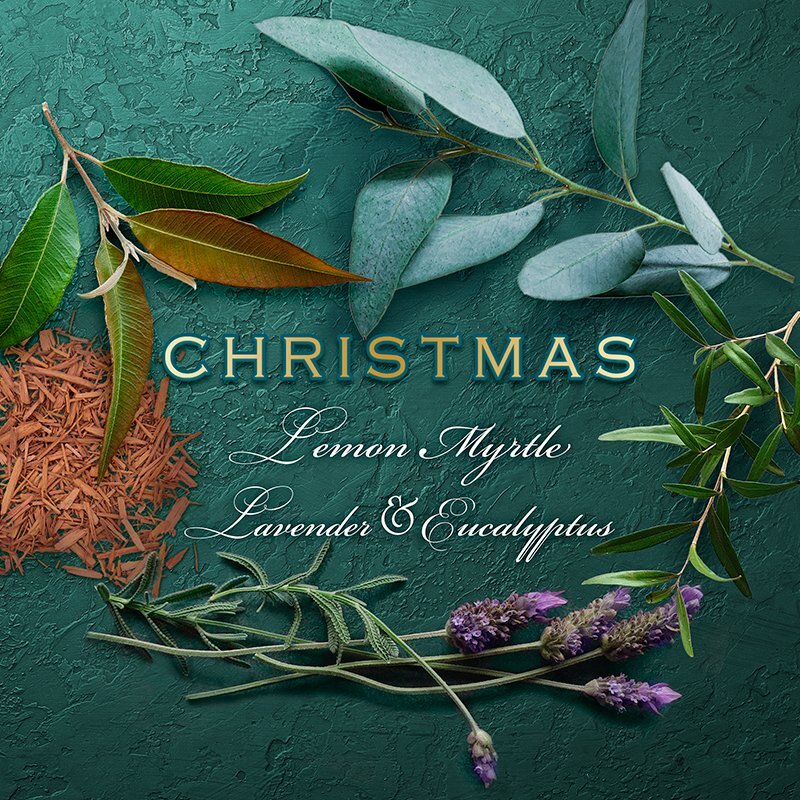 Lemon Myrtle & Eucalyptus - Christmas Scent Cake