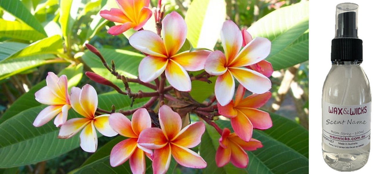 Wild Frangipani - Room Spray