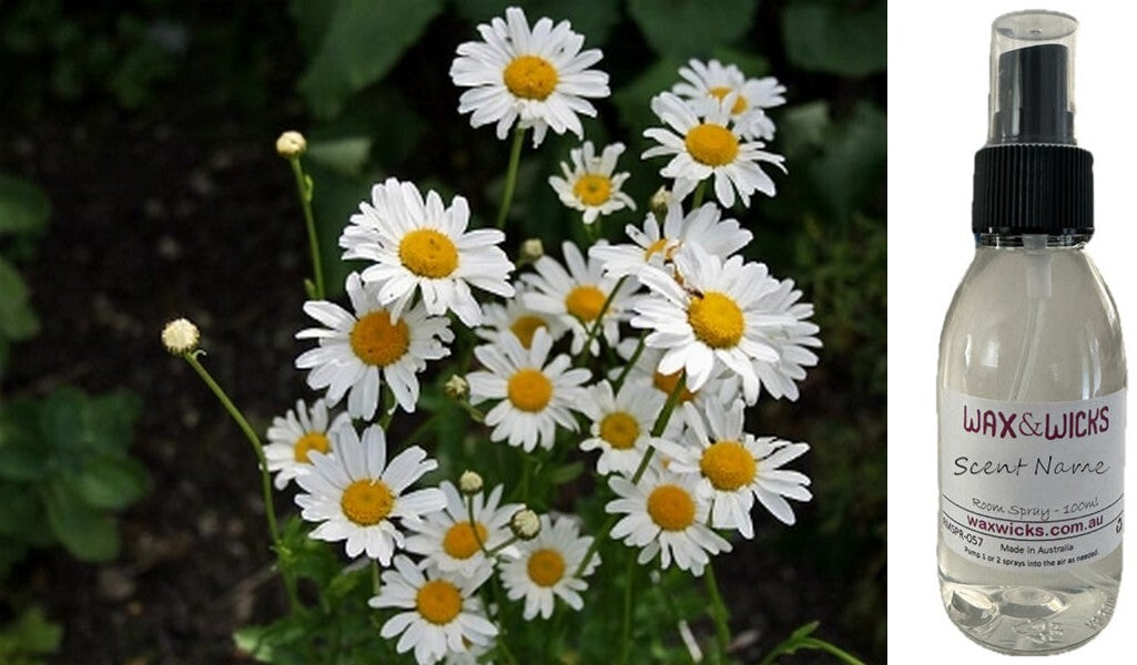 Daisy - Room Spray