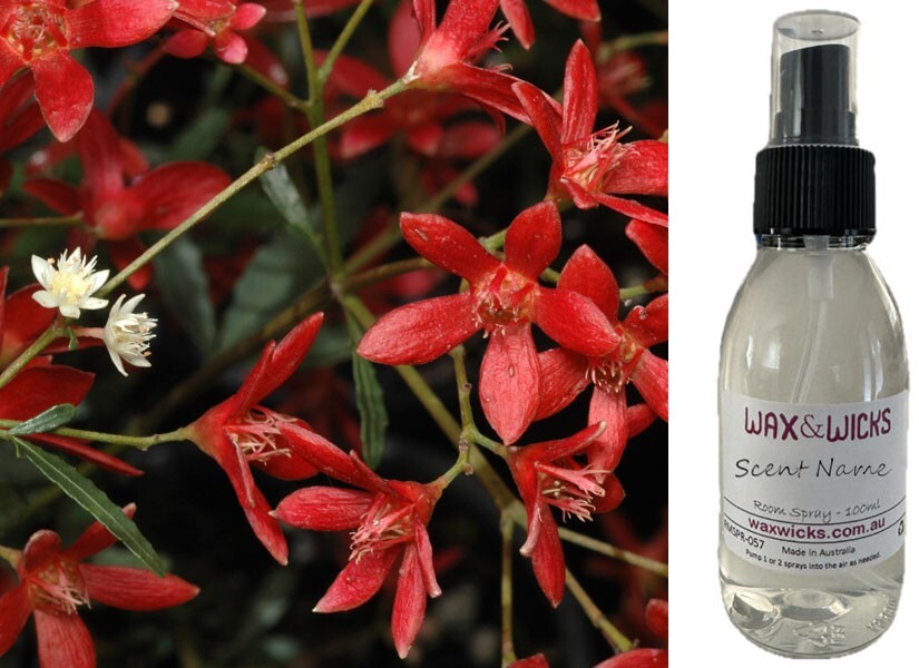 Christmas Bush - Room Spray