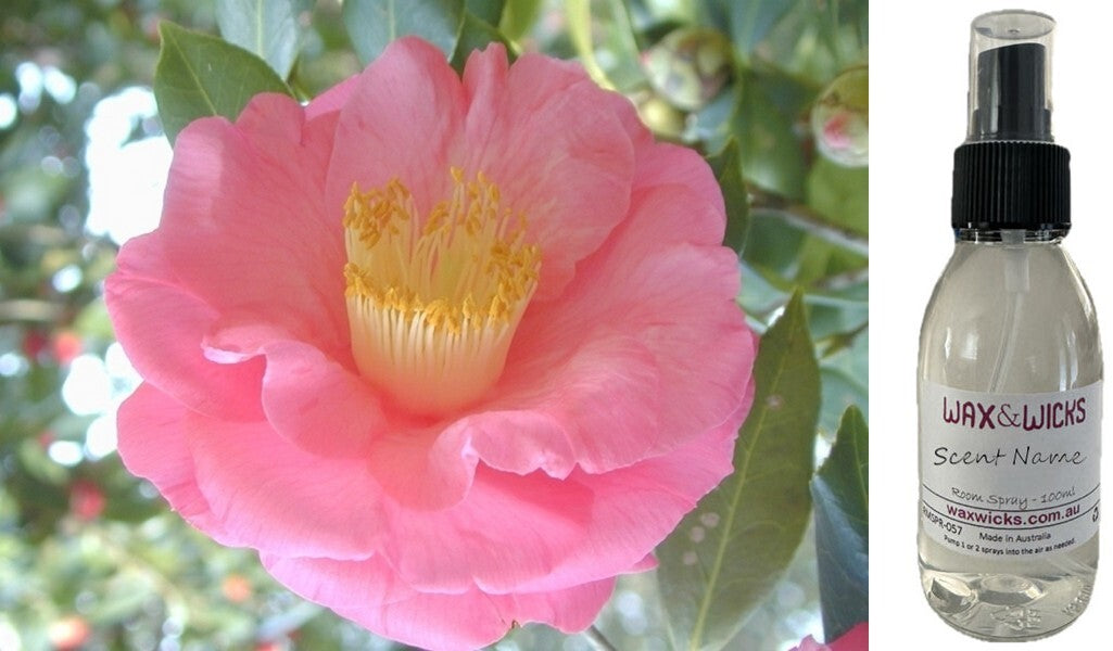 Camellia & Pink Lotus - Room Spray