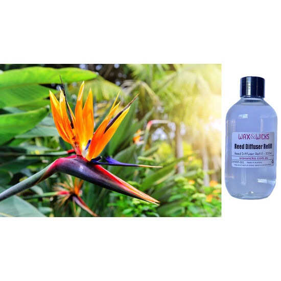 Birds of Paradise - Reed Diffuser Refill 