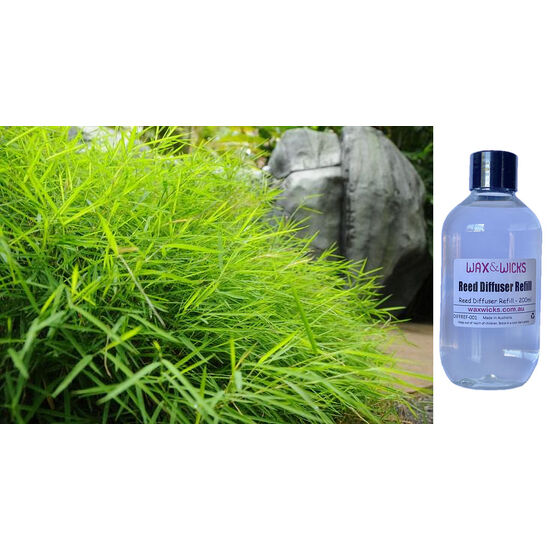 Australian Bamboo Grass - Reed Diffuser Refill 