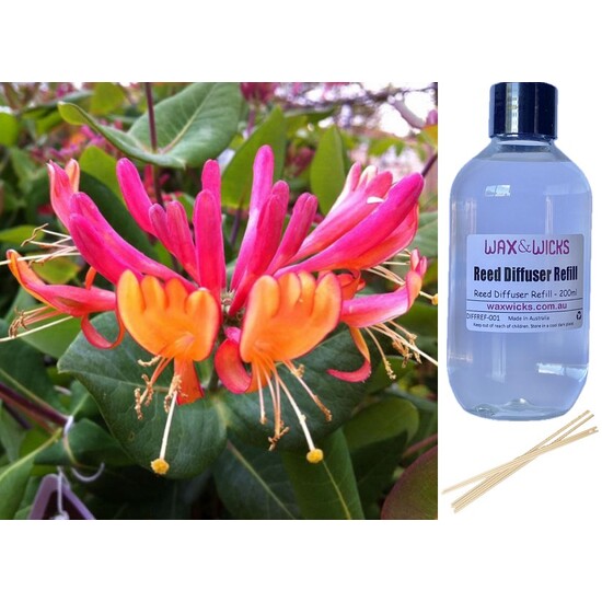 Golden Japanese Honeysuckle - Reed Diffuser Refill 