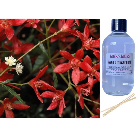 Christmas Bush - Reed Diffuser Refill 