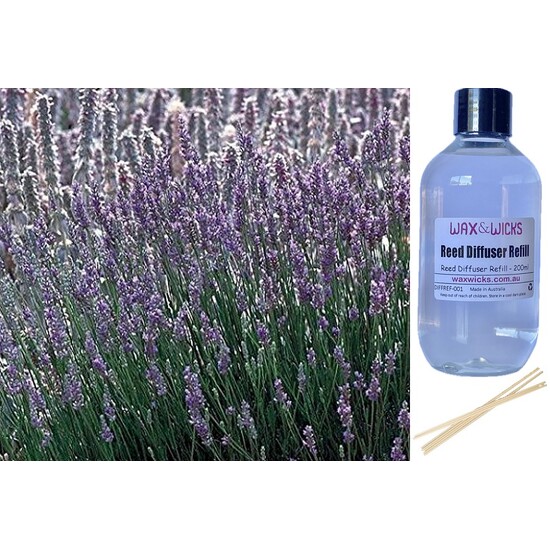 French Lavender - Reed Diffuser Refill 