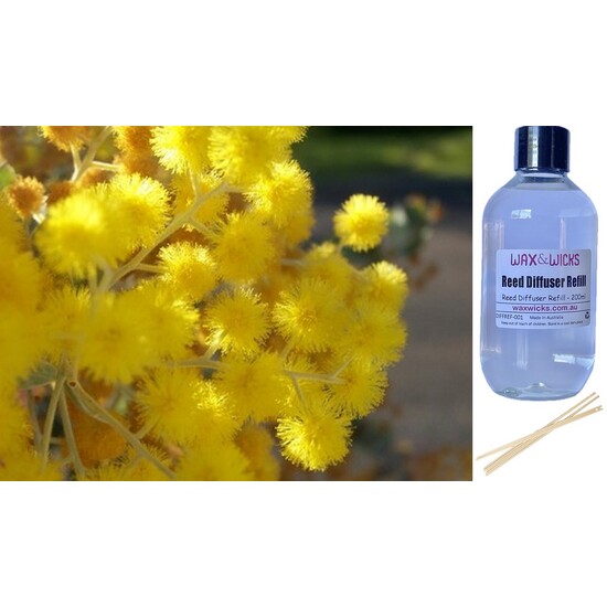 Golden Wattle - Reed Diffuser Refill 