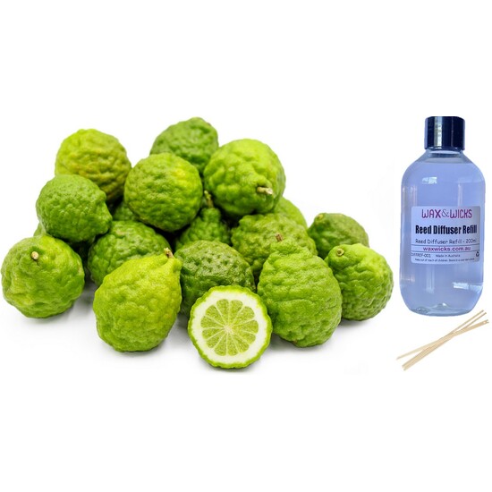 Kaffir Lime & Sandalwood - Reed Diffuser Refill 