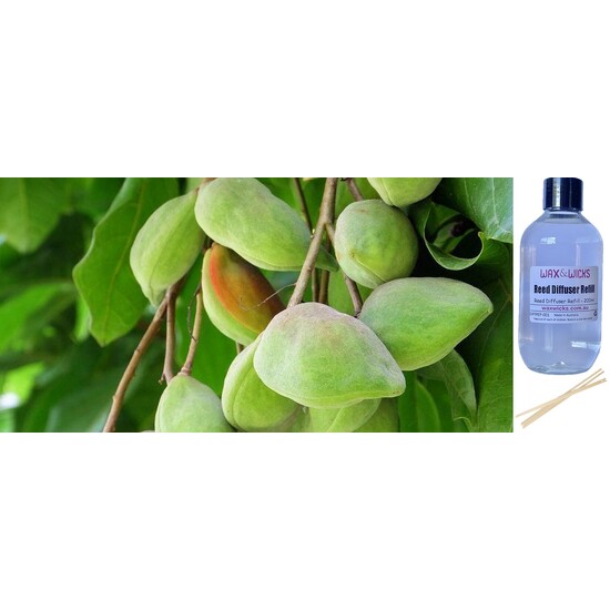 Kakadu Plum & Bush Cucumber - Reed Diffuser Refill 