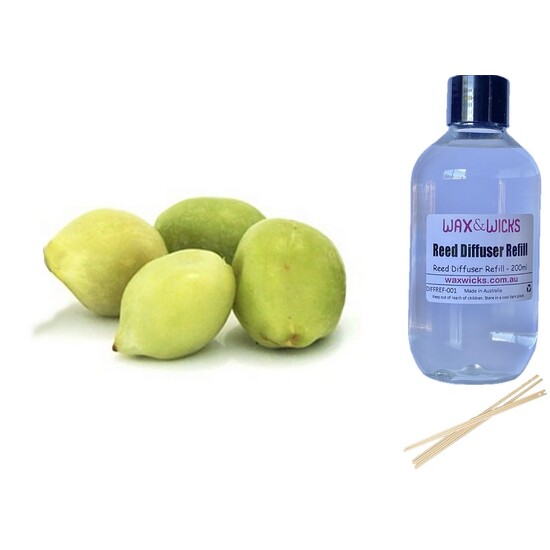 Kakadu Plum - Reed Diffuser Refill 