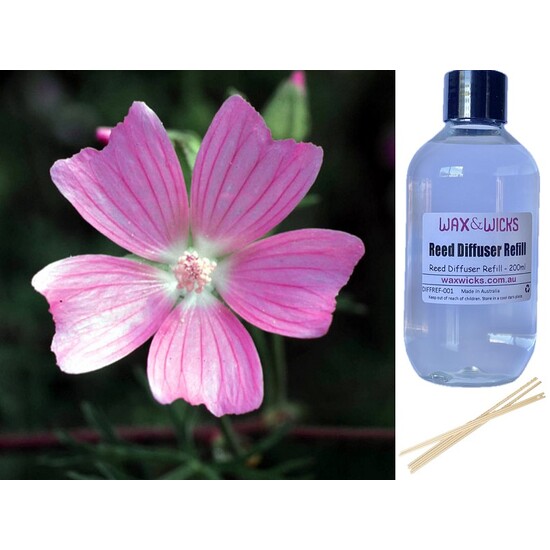 Patchouli & Musk - Reed Diffuser Refill 