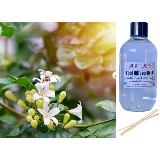 Sweet Jasmine & Bergamot - Reed Diffuser Refill 