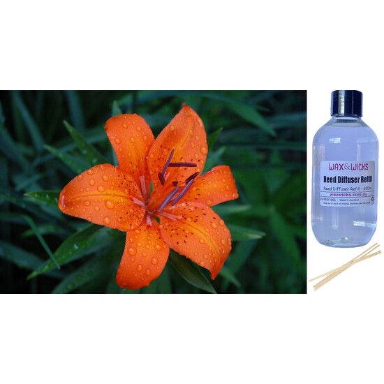 Tiger Lily & Patchouli - Reed Diffuser Refill 