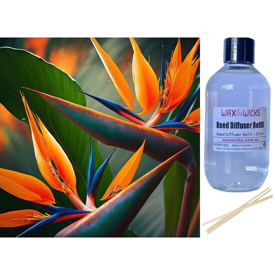 Angel of Paradise - Reed Diffuser Refill 