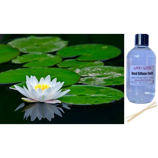 Waterlily - Reed Diffuser Refill 