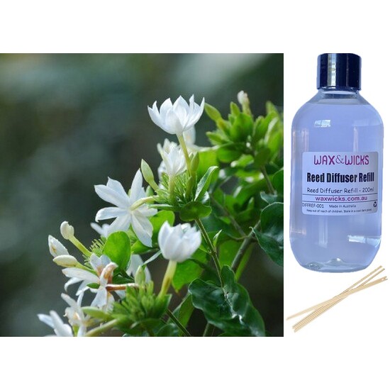 White Jasmine & Ivy - Reed Diffuser Refill 