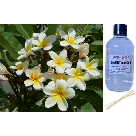 White Frangipani - Reed Diffuser Refill 