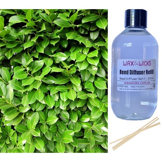 Fresh Garden Leaves - Reed Diffuser Refill 